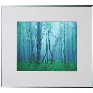 Kenko (ケンコー) アルミ額縁 ギャラリー 四切 アクリル入り AGY-4-SV シルバー メイン