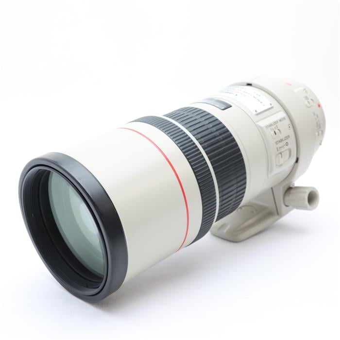 EF300mm F4L IS USM