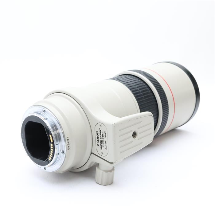 EF300mm F4L IS USM