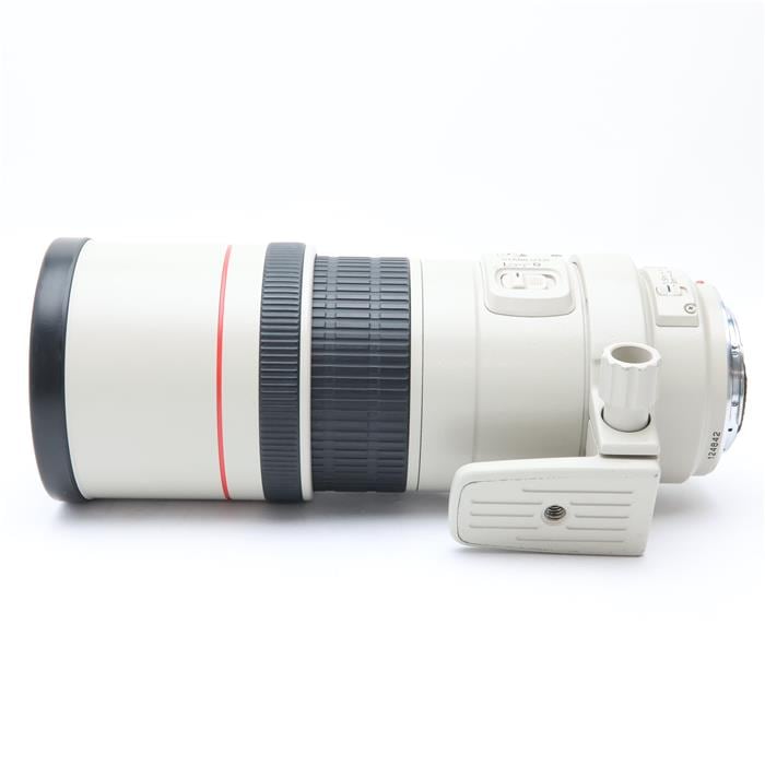 EF300mm F4L IS USM