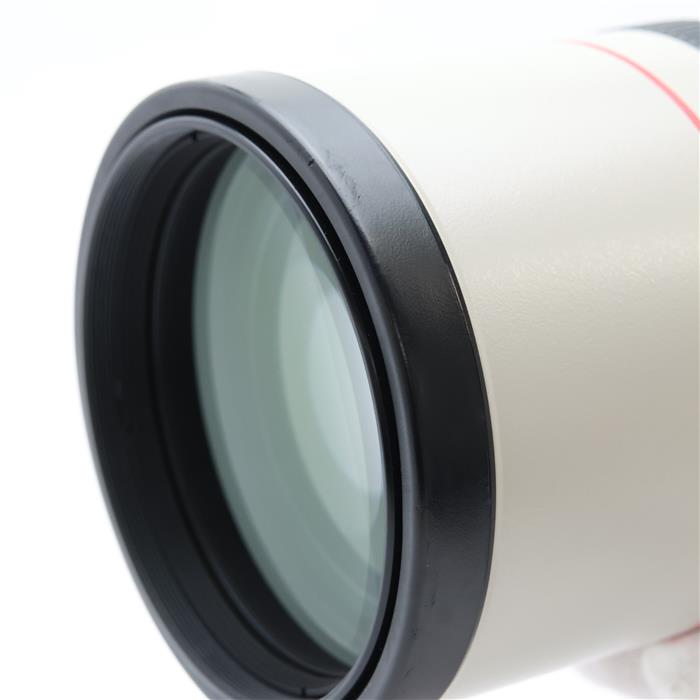 EF300mm F4L IS USM