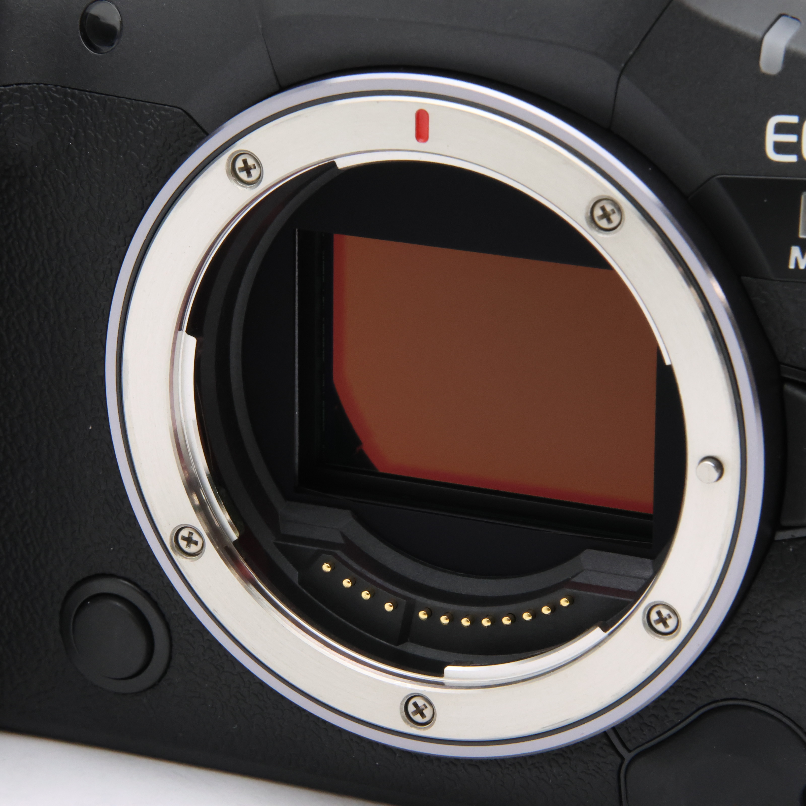 中古)Canon (キヤノン) EOS R5 Mark II ボディ（商品ID：3717030898558