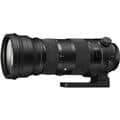 SIGMA (シグマ) Sports 150-600mm F5-6.3 DG OS HSM(ニコンF用）