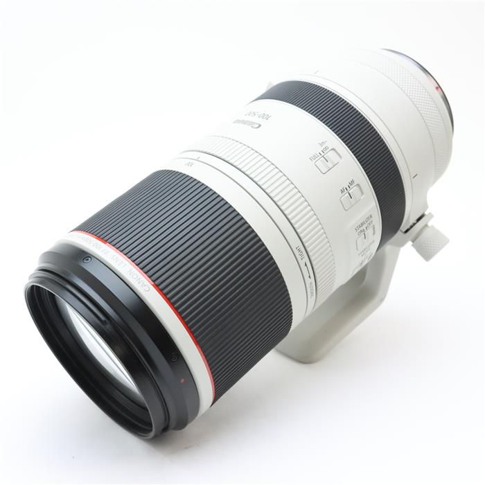 RF100-500mm F4.5-7.1 L IS USM