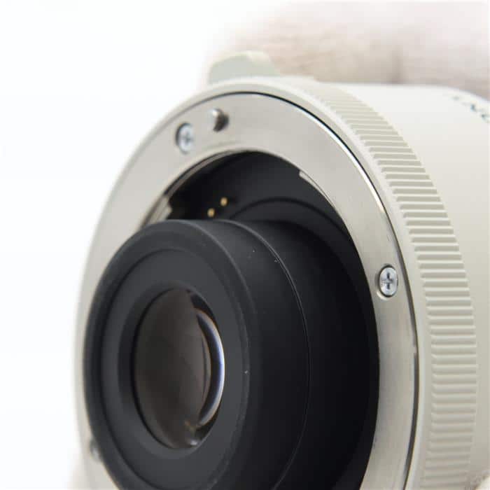 2x Teleconverter SEL20TC