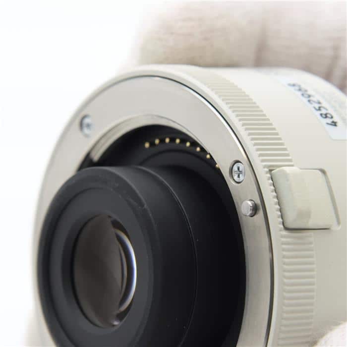 2x Teleconverter SEL20TC