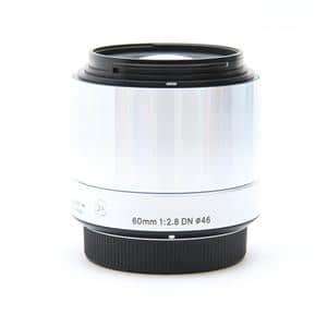 Amazon.com : Sigma 60mm F2.8 EX DN Art (Black) for Micro 4/3