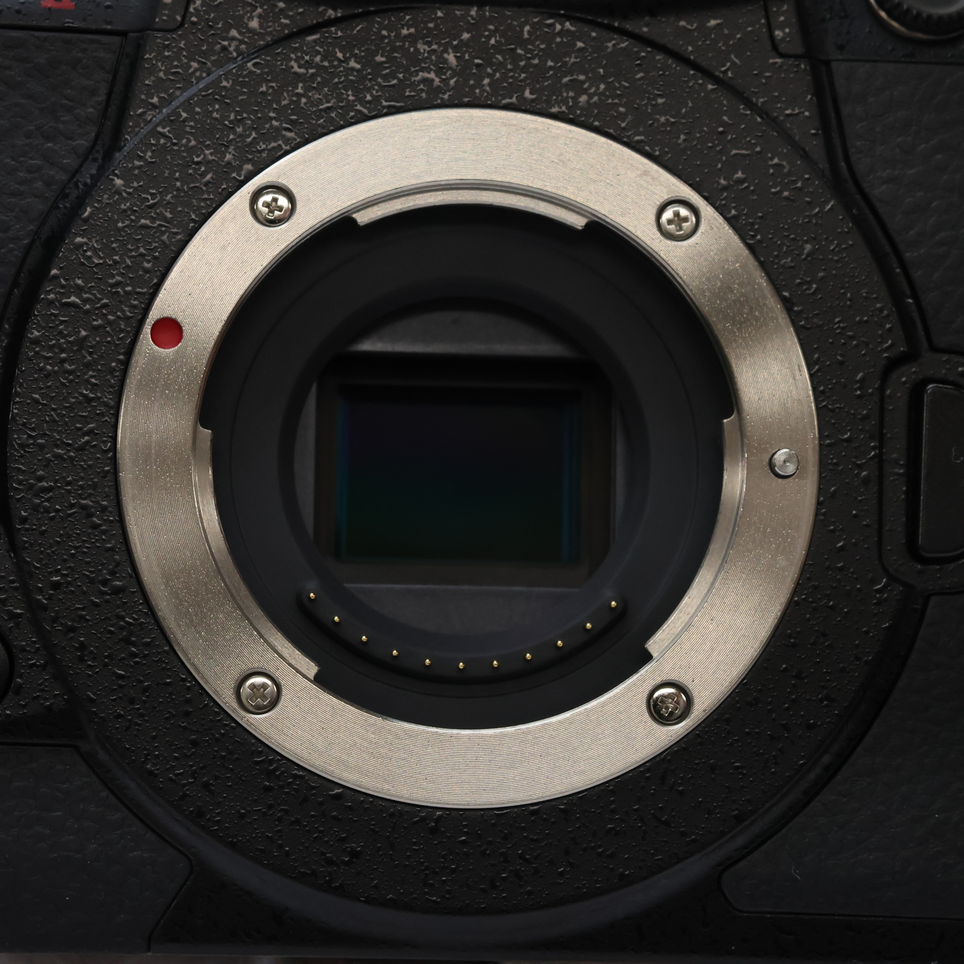 中古)Panasonic (パナソニック) LUMIX GH5II ボディ DC-GH5M2（商品ID