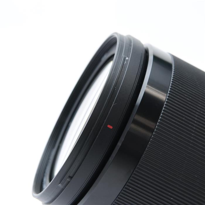 FE 24-240mm F3.5-6.3 OSS SEL24240