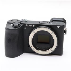 SONY (ソニー) α6600 ボディ ILCE-6600」の商品検索結果 | デジタル