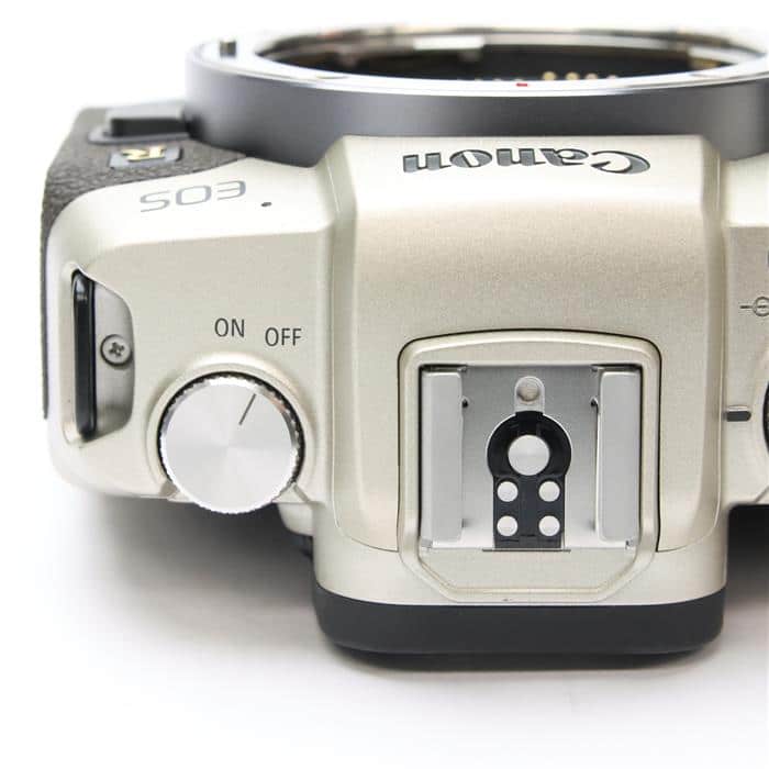 EOS RP RF35 MACRO IS STM マウントアダプターSPキット