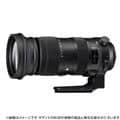 SIGMA (シグマ) Sports 60-600mm F4.5-6.3 DG OS HSM  (シグマSA用)
