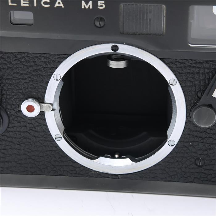 M5