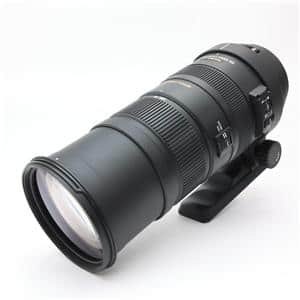 SIGMA 150-500 F5-6.3 APO DG HSM Pentax用 Amazon.com : Sigma 150-500mm f/5-6.3 Auto Focus APO DG OS HSM
