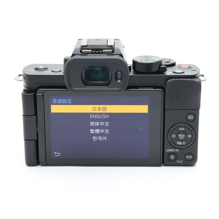 LUMIX DC-G100 ボディ