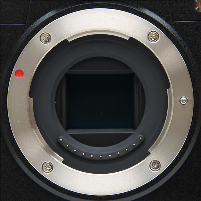 LUMIX DC-G100 ボディ