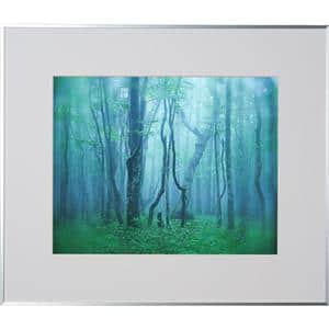 Kenko (ケンコー) アルミ額縁 ギャラリー 半切 アクリル入り AGY-H-SV シルバー メイン