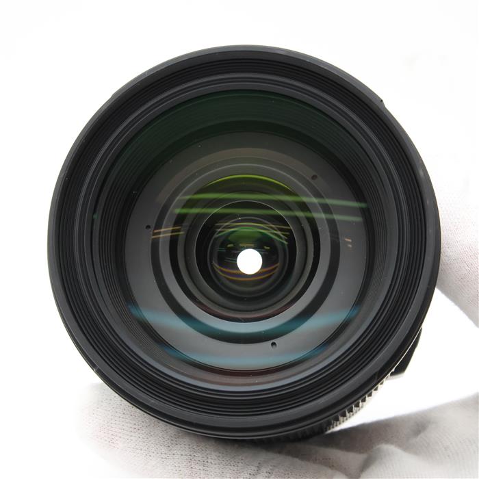 Art 24-105mm F4 DG OS HSM (シグマSA用)