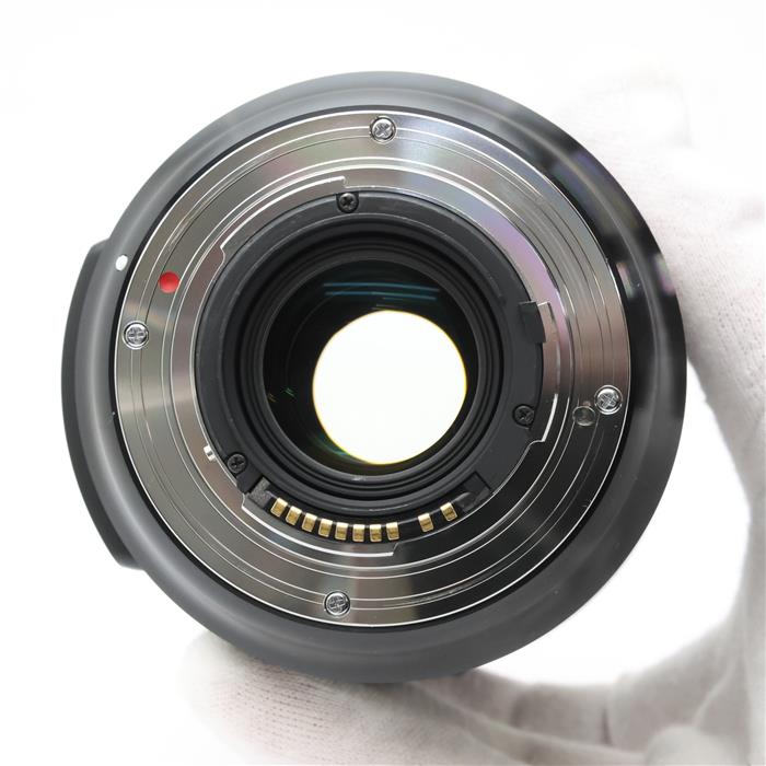 Art 24-105mm F4 DG OS HSM (シグマSA用)