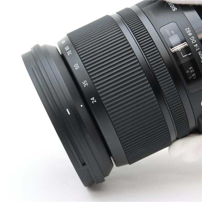 Art 24-105mm F4 DG OS HSM (シグマSA用)