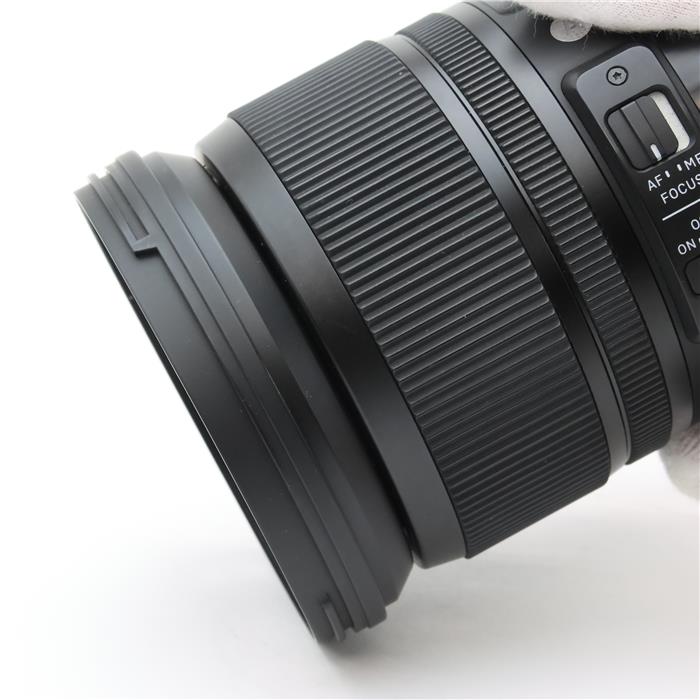 Art 24-105mm F4 DG OS HSM (シグマSA用)