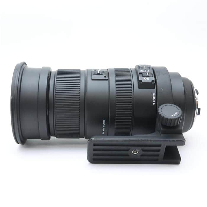 SIGMAシグマ APO 50-500mm F4.5-6.3 (Nikon F）