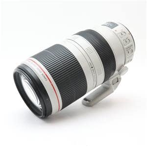 Canon (キヤノン) EF100-400mm F4.5-5.6L IS II USM メイン