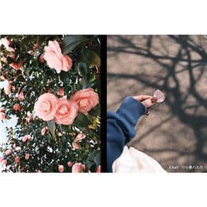 FUJIFILM (フジフイルム) X half X-HF1 シルバー