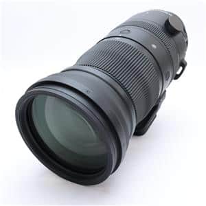 新品)SIGMA (シグマ) Sports 150-600mm F5-6.3 DG DN OS (ソニーE用