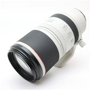 Canon (キヤノン) RF100-500mm F4.5-7.1 L IS USM メイン