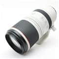 RF100-500mm F4.5-7.1 L IS USM