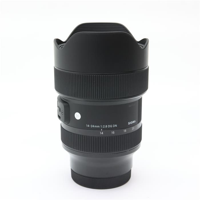 Art 14-24mm F2.8 DG DN  (ソニーE用/フルサイズ対応)