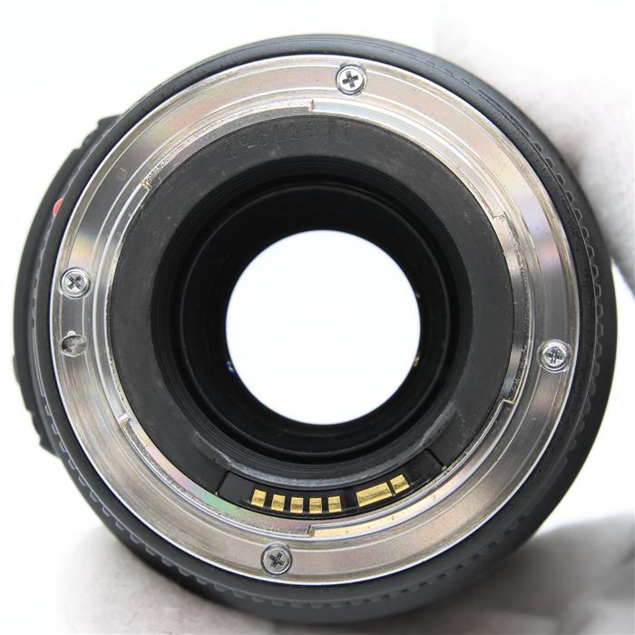 EF100mm F2.8 マクロ USM
