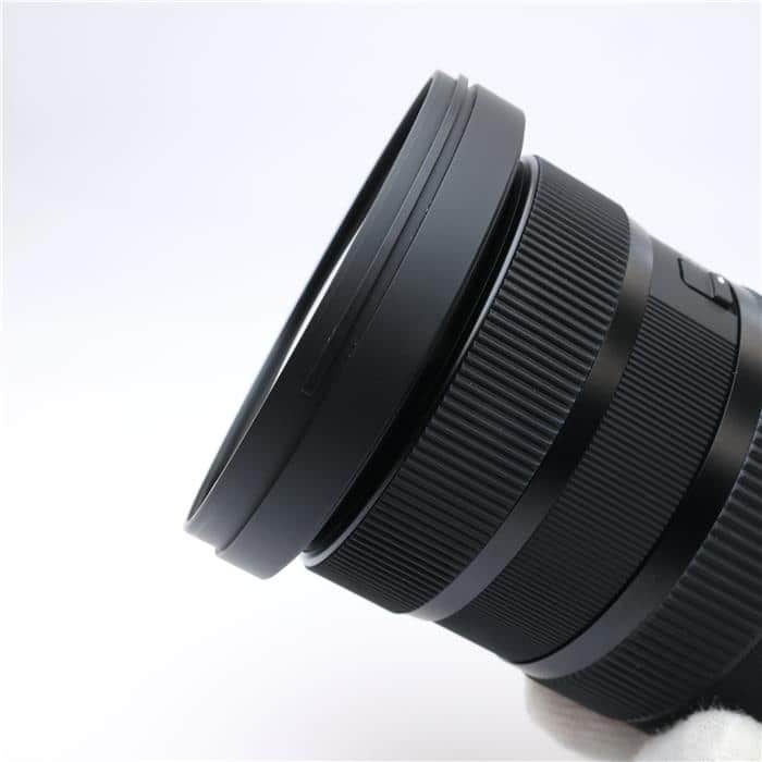 Art 24-70mm F2.8 DG DN II (ライカSL/TL用)