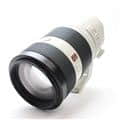FE 100-400mm F4.5-5.6 GM OSS SEL100400GM