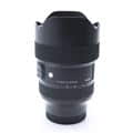 Art 14-24mm F2.8 DG DN  (ソニーE用/フルサイズ対応)