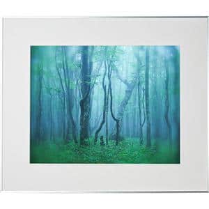 Kenko (ケンコー) アルミ額縁 ギャラリー 全紙 アクリル入り AGY-Z-SV シルバー メイン