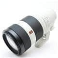 FE 100-400mm F4.5-5.6 GM OSS SEL100400GM