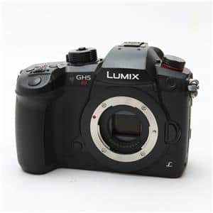 panasonic lumix dc-gh5s」の商品検索結果 | デジタルカメラ panasonic lumix dc-gh5s」の商品検索結果 | デジタルカメラ