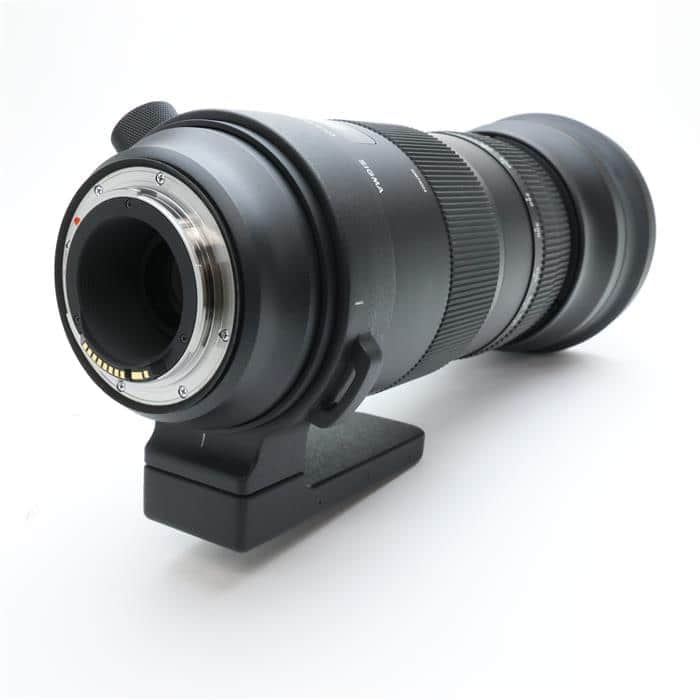 Sports 150-600mm F5-6.3 DG OS (キヤノンEF用)