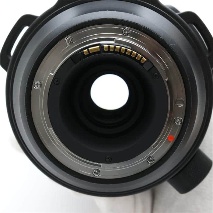 Sports 150-600mm F5-6.3 DG OS (キヤノンEF用)