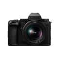Panasonic (パナソニック) LUMIX S5IIX 標準ズームレンズキット DC-S5M2XK ブラック