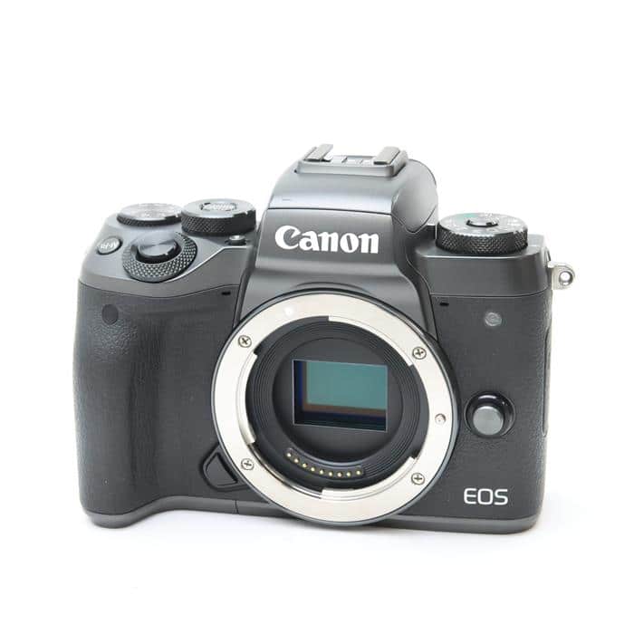 整備済 完動 Canon 7 ボディ レンジファインダー キヤノン 露出計OK