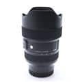 Art 14-24mm F2.8 DG DN  (ソニーE用/フルサイズ対応)