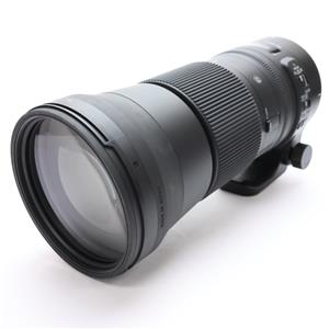sigma 150-600mm f5-6.3 dg nikon」の商品検索結果 | デジタルカメラ