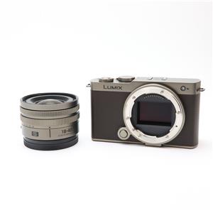 Panasonic (パナソニック) LUMIX S9 広角ズームレンズキット DC-S9N-N