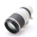Canon (キヤノン) RF100-500mm F4.5-7.1 L IS USM