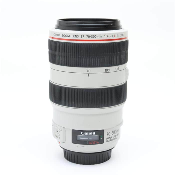 EF70-300mm F4-5.6L IS USM