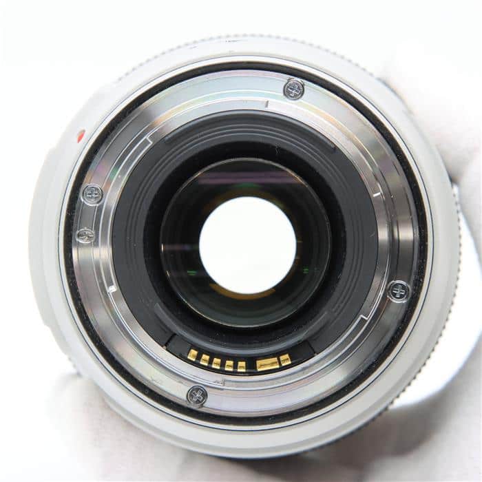 EF70-300mm F4-5.6L IS USM