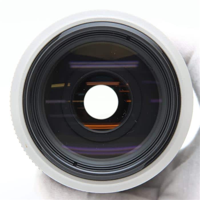 EF70-300mm F4-5.6L IS USM